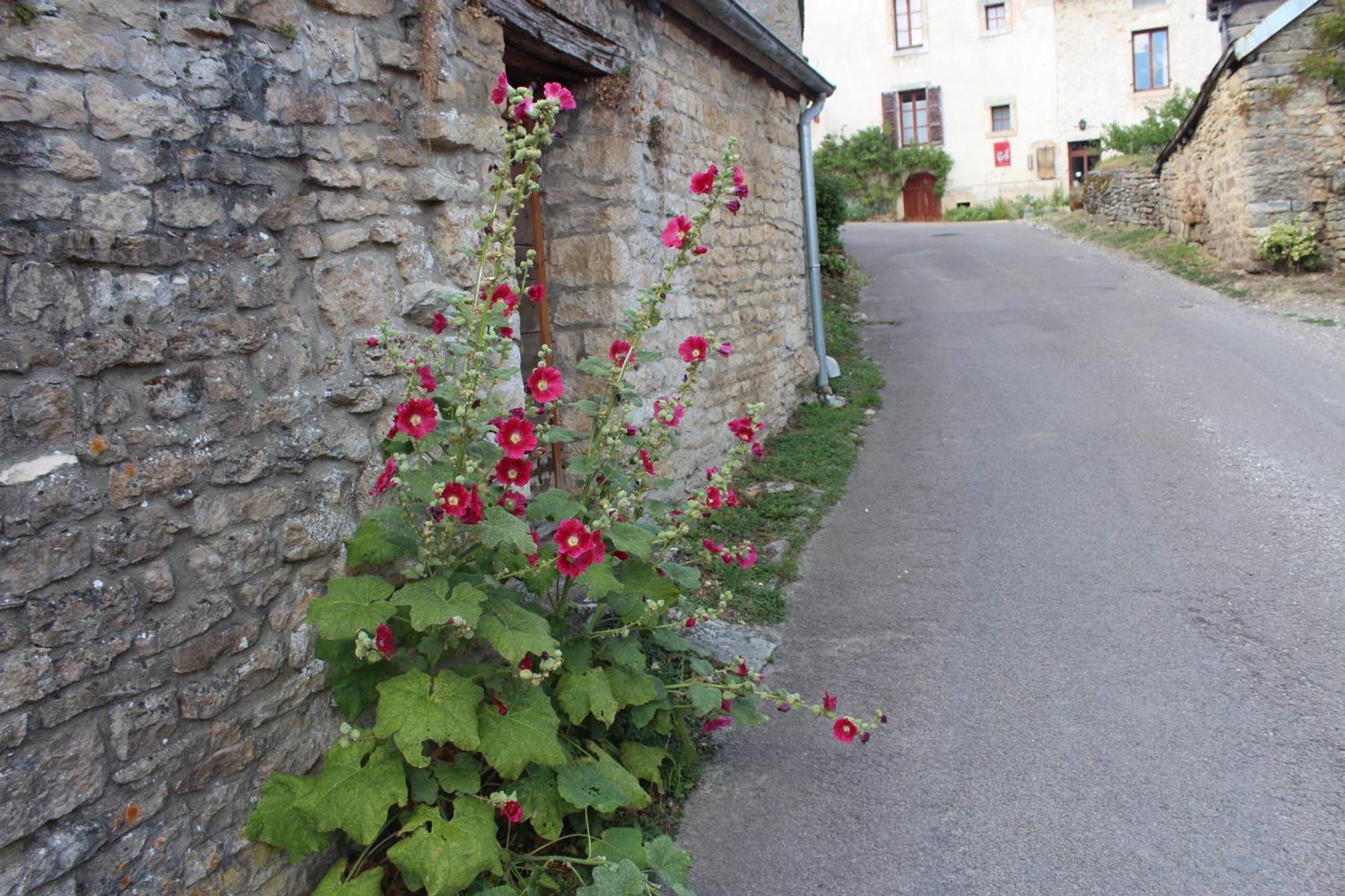 Chateauneuf Suites Exterior foto